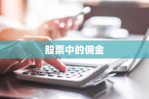 股票中的佣金