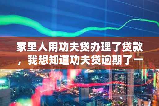 家里人用功夫贷办理了贷款，我想知道功夫贷逾期了一个月有什么后果
