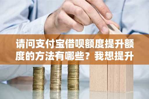 请问支付宝借呗额度提升额度的方法有哪些？我想提升我的借呗额度。