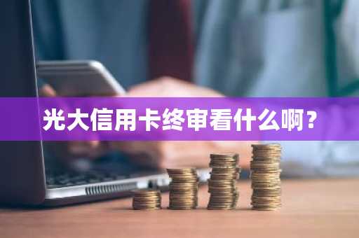 光大信用卡终审看什么啊？