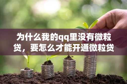 为什么我的qq里没有微粒贷，要怎么才能开通微粒贷？
