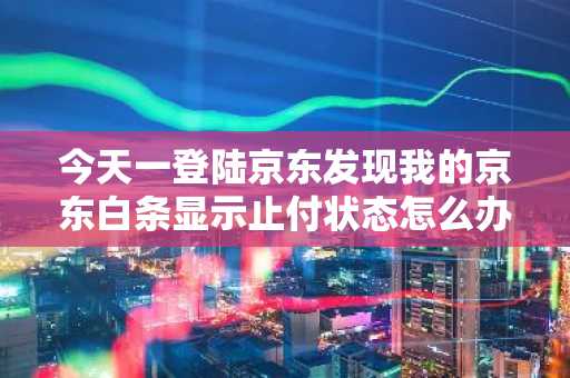 今天一登陆京东发现我的京东白条显示止付状态怎么办