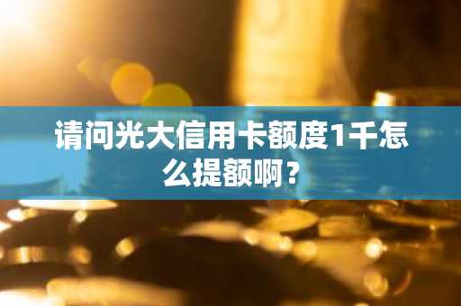 请问光大信用卡额度1千怎么提额啊？