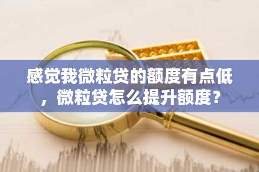 感觉我微粒贷的额度有点低，微粒贷怎么提升额度？