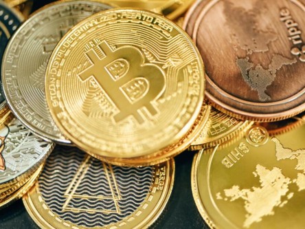 波卡币的最新价格 波卡币价格行情