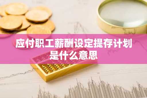 应付职工薪酬设定提存计划是什么意思