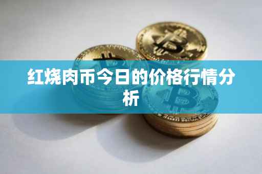 红烧肉币今日的价格行情分析