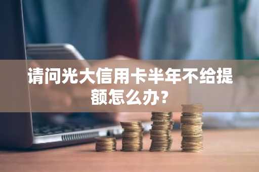请问光大信用卡半年不给提额怎么办？
