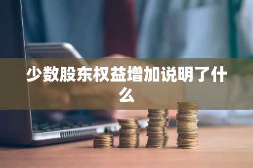 少数股东权益增加说明了什么