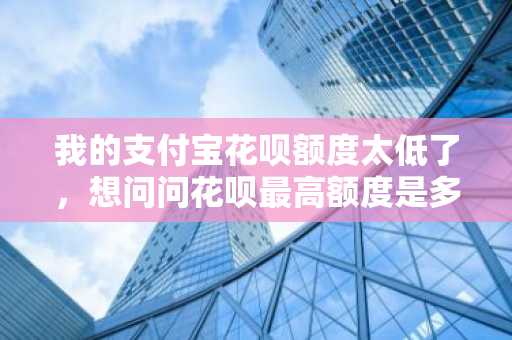 我的支付宝花呗额度太低了，想问问花呗最高额度是多少，如何提升花呗额度?