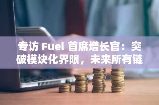 专访 Fuel 首席增长官：突破模块化界限，未来所有链都将模块化