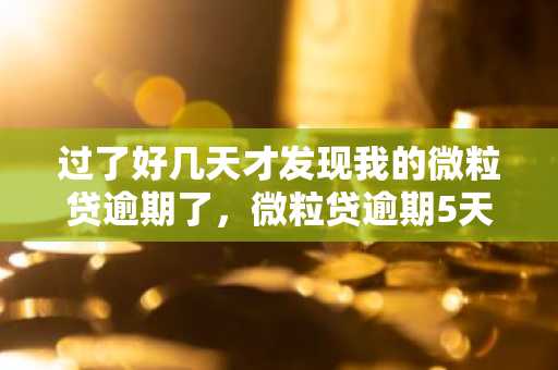 过了好几天才发现我的微粒贷逾期了，微粒贷逾期5天会怎么样?