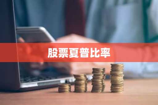股票夏普比率