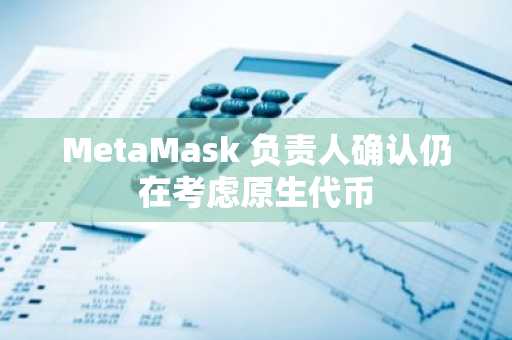 MetaMask 负责人确认仍在考虑原生代币