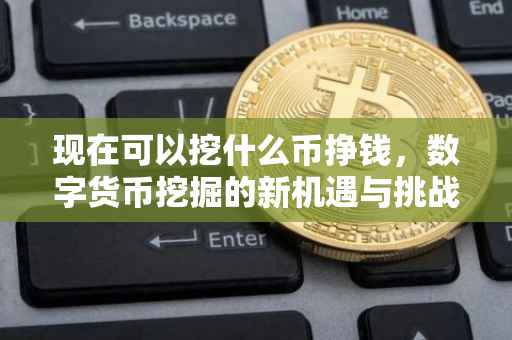 现在可以挖什么币挣钱，数字货币挖掘的新机遇与挑战