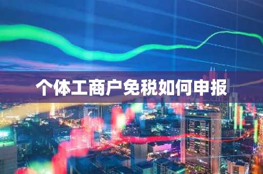 个体工商户免税如何申报