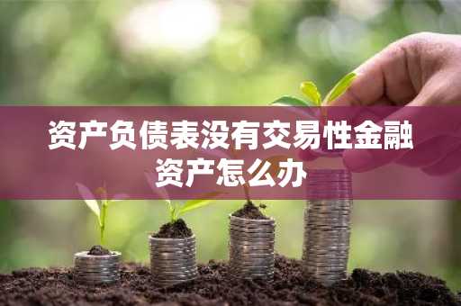 资产负债表没有交易性金融资产怎么办