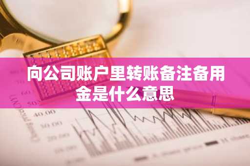 向公司账户里转账备注备用金是什么意思