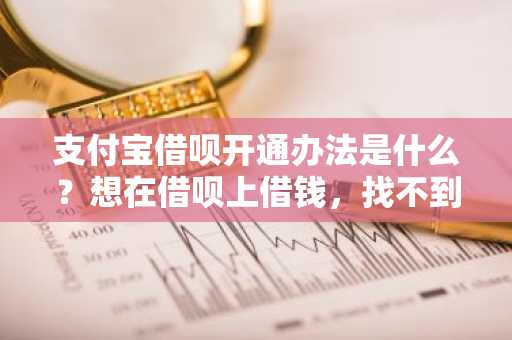 支付宝借呗开通办法是什么？想在借呗上借钱，找不到借呗。