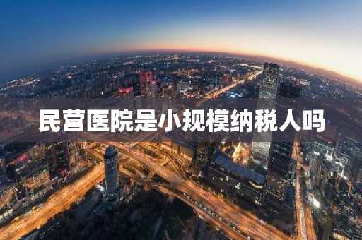 民营医院是小规模纳税人吗