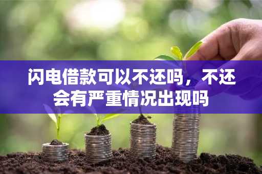 闪电借款可以不还吗，不还会有严重情况出现吗