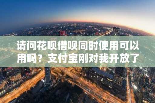 请问花呗借呗同时使用可以用吗？支付宝刚对我开放了蚂蚁借呗服务。
