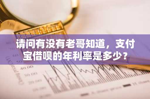请问有没有老哥知道，支付宝借呗的年利率是多少？