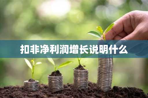 扣非净利润增长说明什么