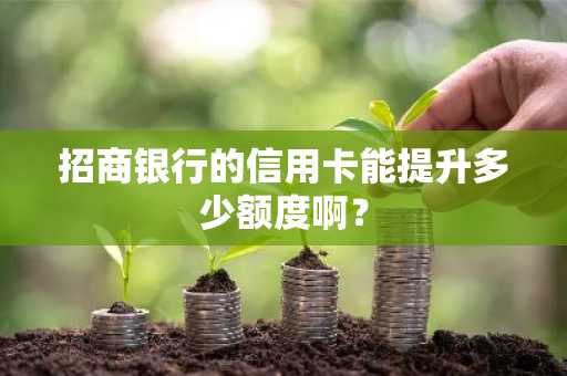 招商银行的信用卡能提升多少额度啊？