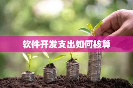 软件开发支出如何核算
