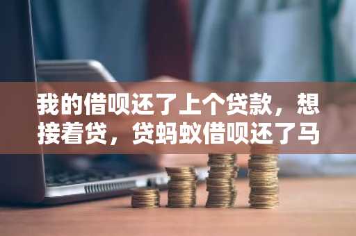 我的借呗还了上个贷款，想接着贷，贷蚂蚁借呗还了马上再借可以吗