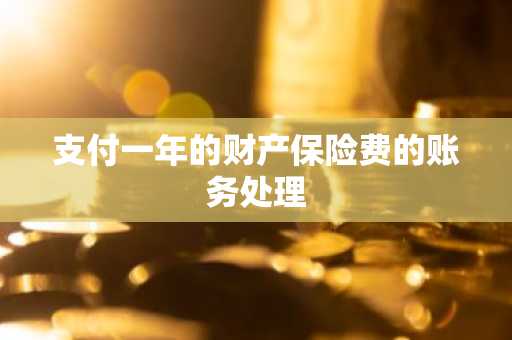 支付一年的财产保险费的账务处理