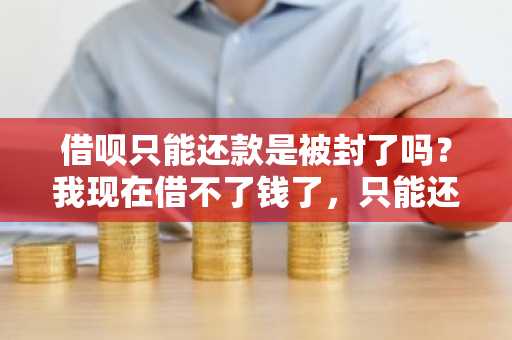 借呗只能还款是被封了吗？我现在借不了钱了，只能还钱是什么回事。