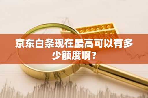 京东白条现在最高可以有多少额度啊？