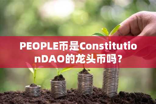 PEOPLE币是ConstitutionDAO的龙头币吗？