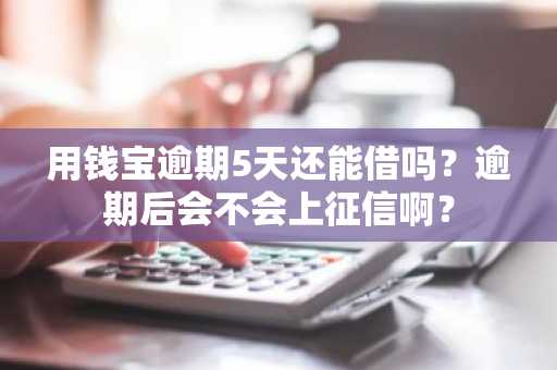 用钱宝逾期5天还能借吗？逾期后会不会上征信啊？