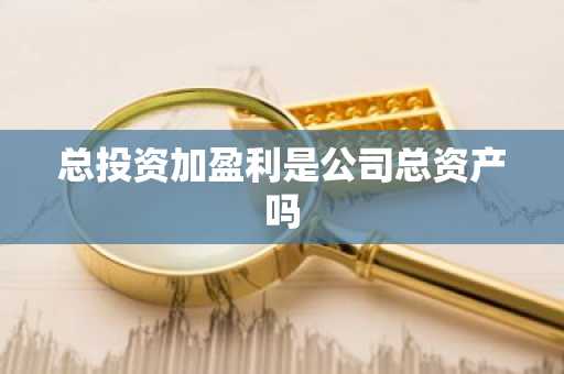 总投资加盈利是公司总资产吗