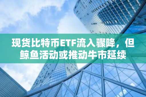 现货比特币ETF流入骤降，但鲸鱼活动或推动牛市延续