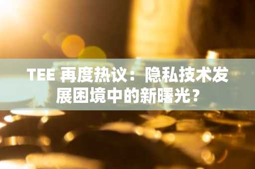 TEE 再度热议：隐私技术发展困境中的新曙光？