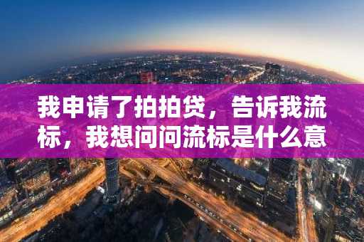 我申请了拍拍贷，告诉我流标，我想问问流标是什么意思？