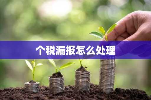 个税漏报怎么处理