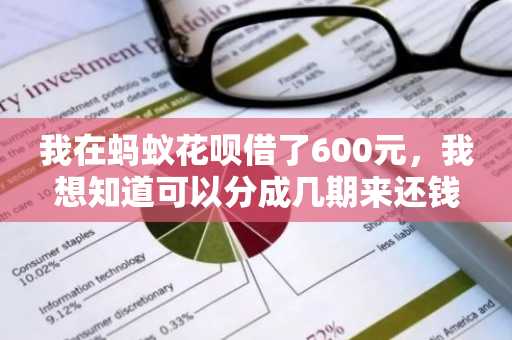 我在蚂蚁花呗借了600元，我想知道可以分成几期来还钱呢？