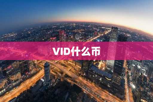 VID什么币