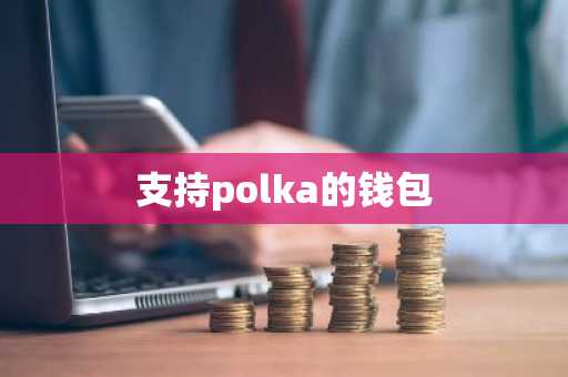 支持polka的钱包
