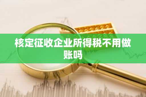 核定征收企业所得税不用做账吗
