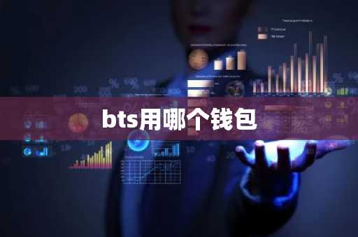 bts用哪个钱包