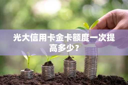 光大信用卡金卡额度一次提高多少？