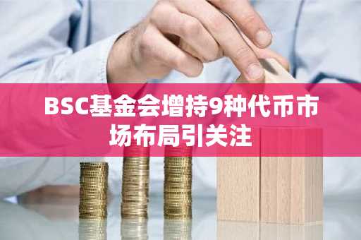 BSC基金会增持9种代币市场布局引关注