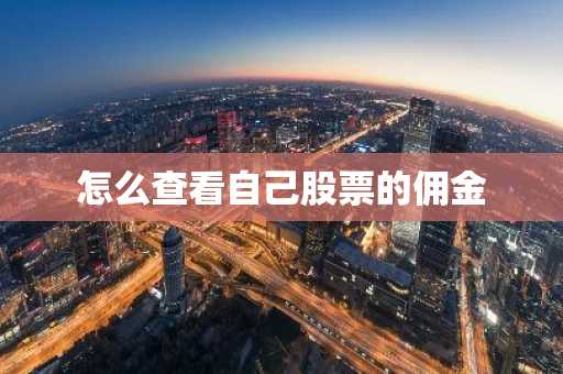 怎么查看自己股票的佣金