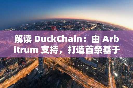 解读 DuckChain：由 Arbitrum 支持，打造首条基于 TON 构建的 L2